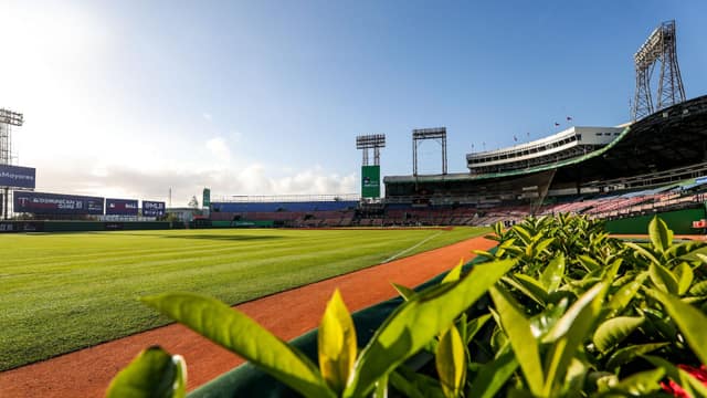 Passionate Game - Estadio Quisqueya Juan Marichal in Santo Domingo, Dominican Republic